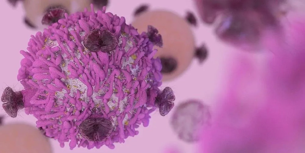 Science子刊：免疫疗法组合克服了冷肿瘤对双特异性T细胞衔接器治疗的抵抗