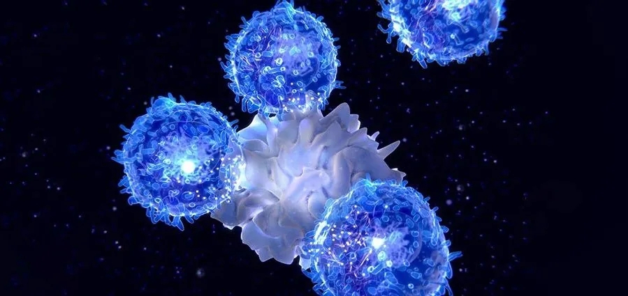 TIM-3是T细胞耗竭的标志物，靶向TIM-3可恢复T细胞抗癌活力